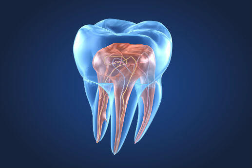 Odontología endodoncia
